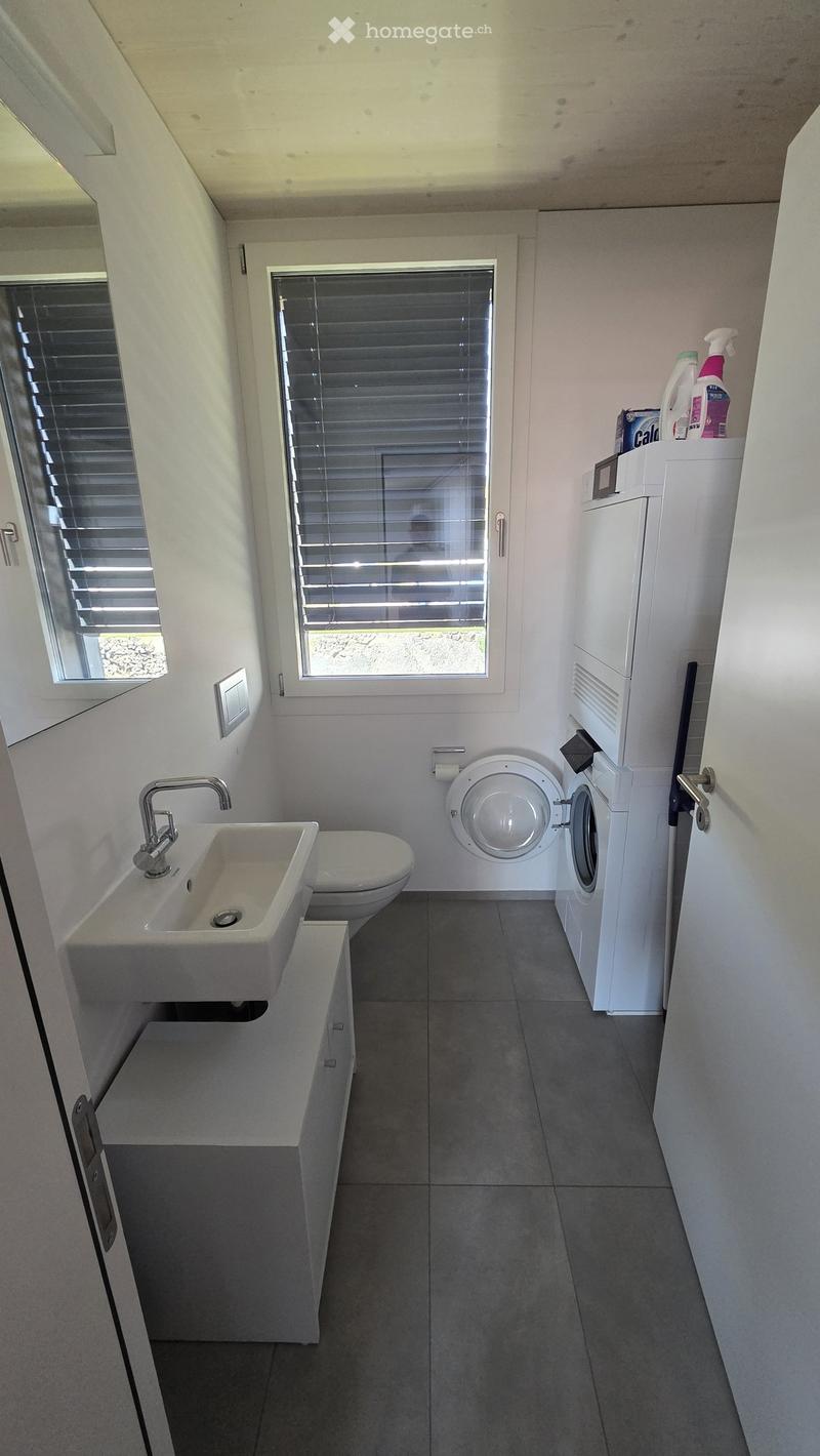 Modern bathroom with a white sink, toilet, washing machine, and cleaning supplies on a shelf. The room features large windows with blinds and a grey tiled floor.