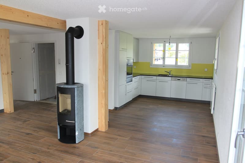 Modern kitchen with white cabinets, a black sink, and a fireplace in the adjacent room.