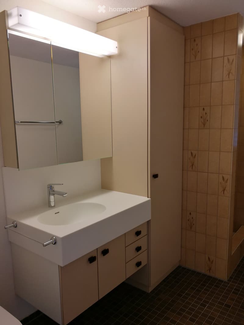 Modern bathroom with a white sink, chrome faucet, mirrored cabinet, and tiled shower area.