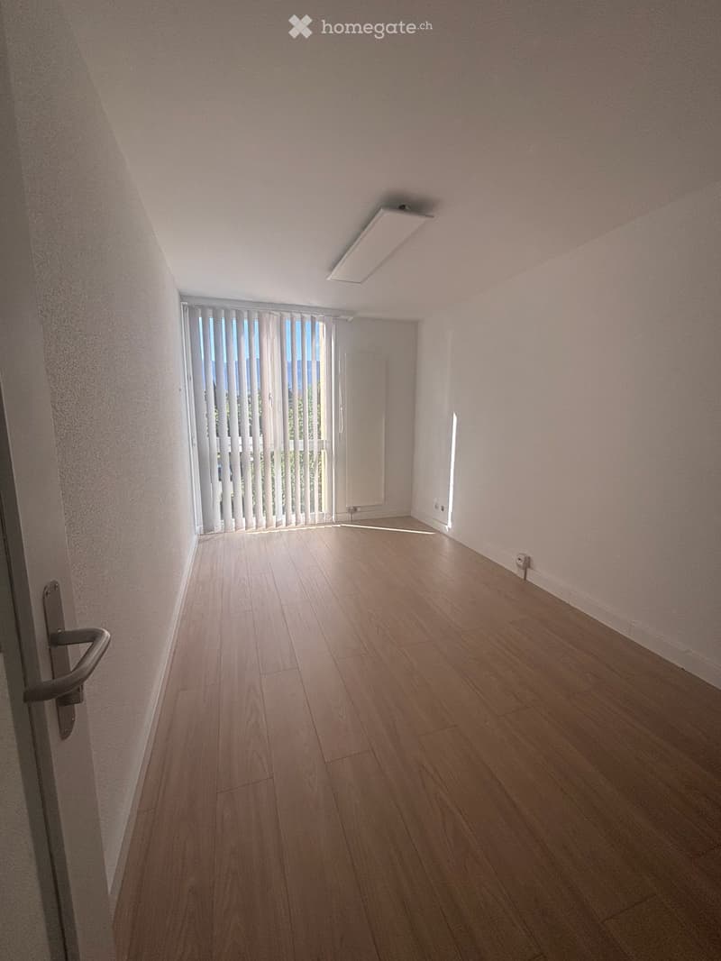 Empty room with wooden flooring, white walls, and a large window with blinds. The room has a door on the left and a light fixture on the ceiling.