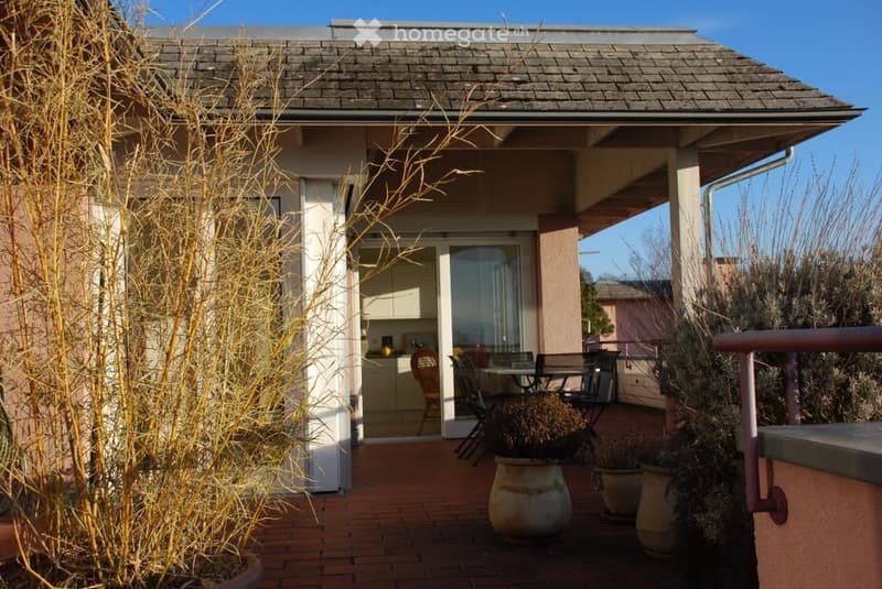Outdoor patio with brick flooring, large glass doors leading to a kitchen area, several potted plants, and outdoor furniture including chairs and a table.