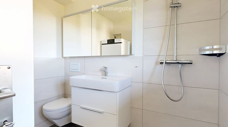 Modern bathroom with white tiles, a toilet, a sink with a mirror, and a shower with a handheld sprayer.
