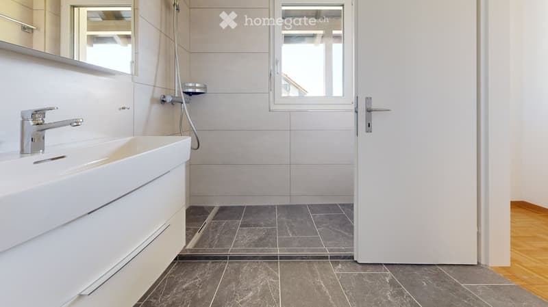 Modern bathroom with a white sink, chrome faucet, mirror, and shower hose. Grey tiled floor and walls.