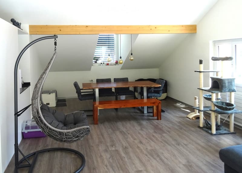 A modern, well-lit room with wooden flooring, a wicker hanging chair, a cat tree, a dining table with chairs, and a bench. The room features large windows with blinds and exposed wooden beams on the ceiling.