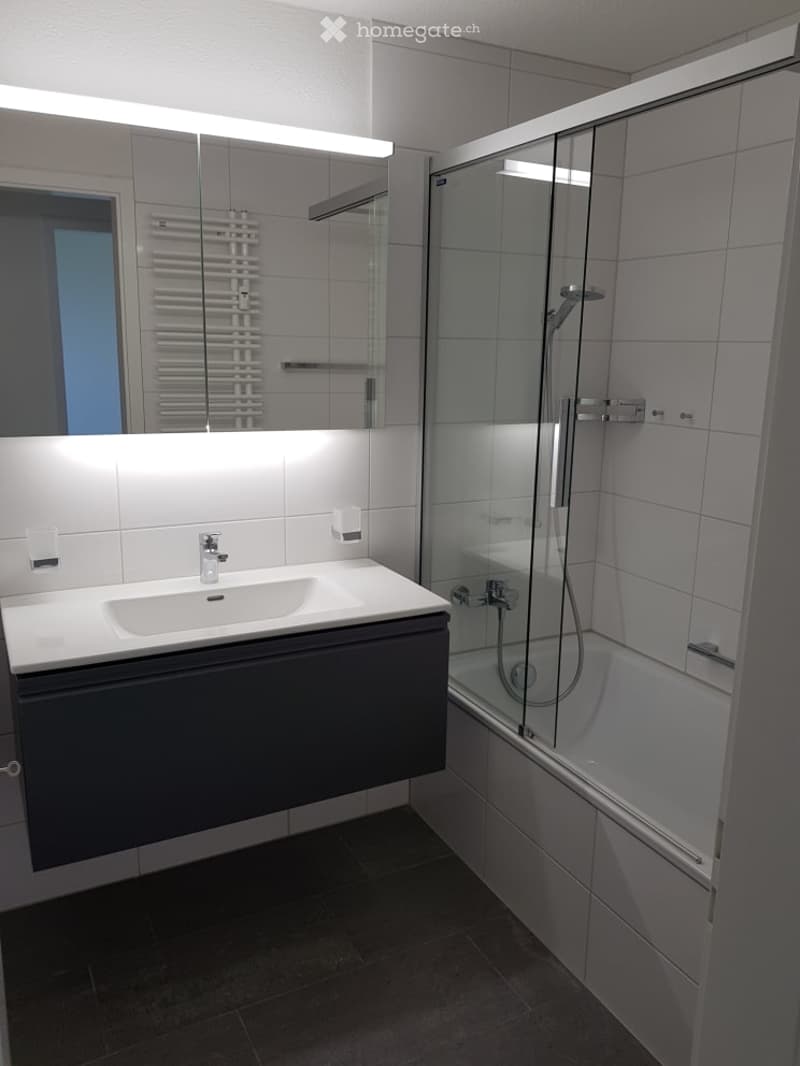 Modern bathroom with a white sink, dark grey cabinet, large mirror, glass-enclosed shower, and a radiator.