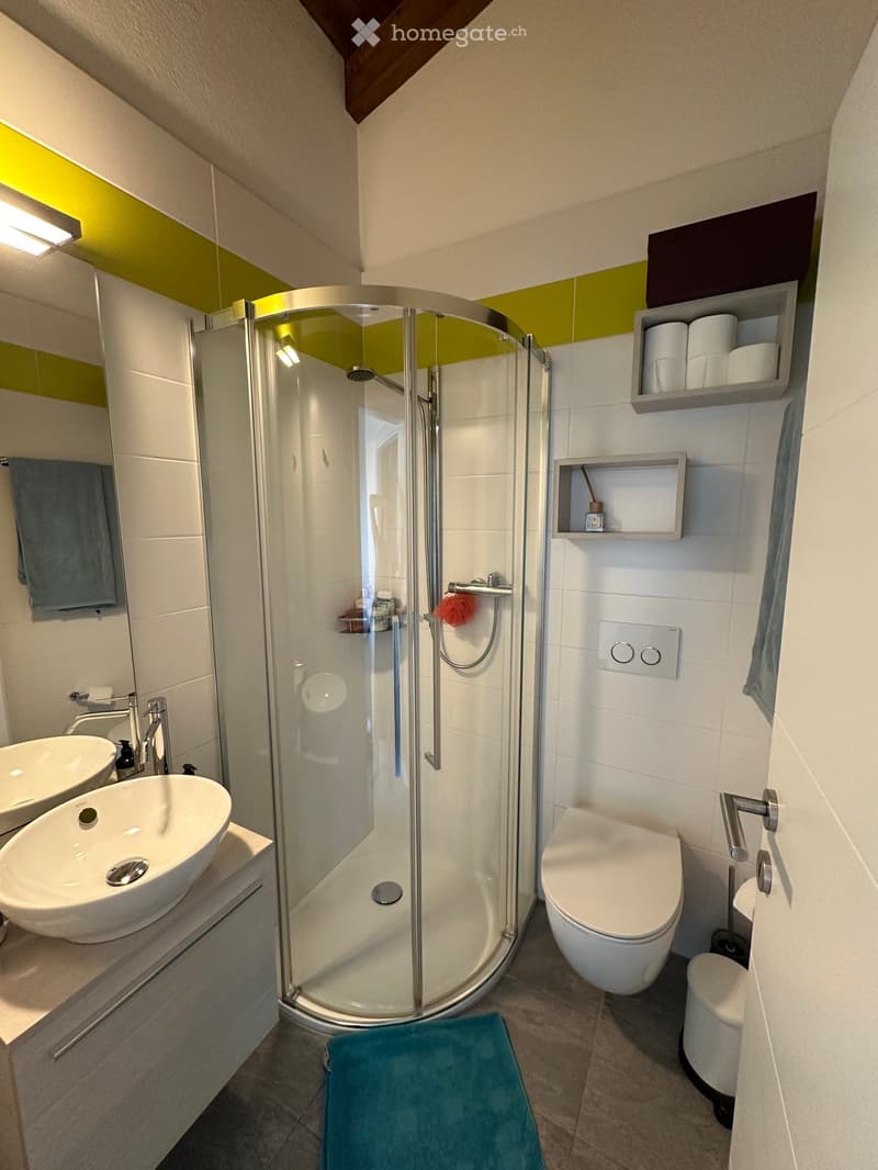 Modern bathroom with a glass-enclosed shower, double sink vanity, toilet, and built-in shelves for toiletries.