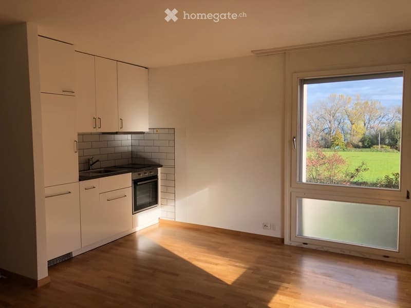 Modern kitchen with white cabinets, a sink, an oven, and a large window offering a view of a green field.