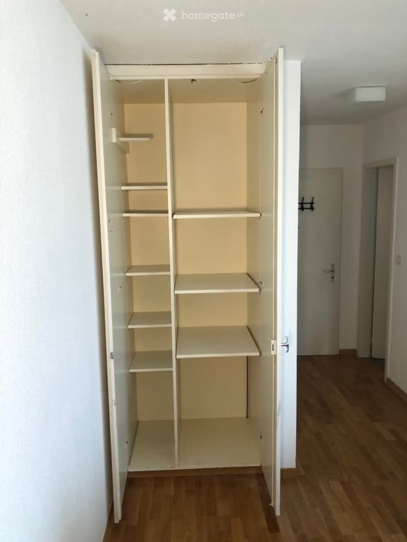 Empty room with wooden flooring and a large open wardrobe with multiple shelves.