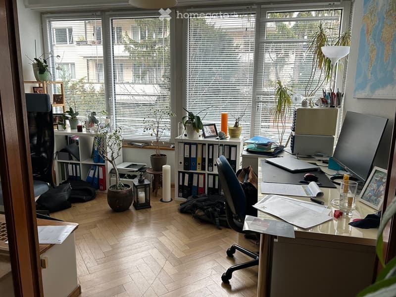 Office space with wooden floors, white desk, two computer monitors, office chairs, bookshelves, green plants, windows with blinds