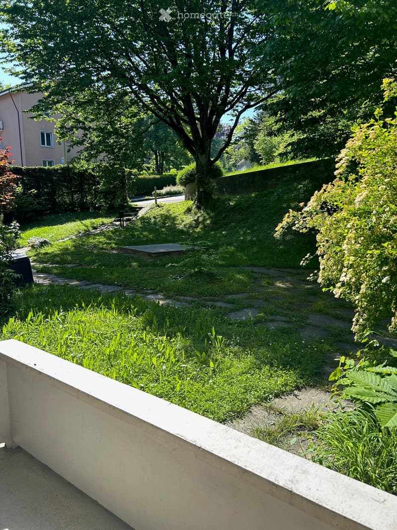 Grassy lawn, tree, pathway, hedge, building at the top of a slope