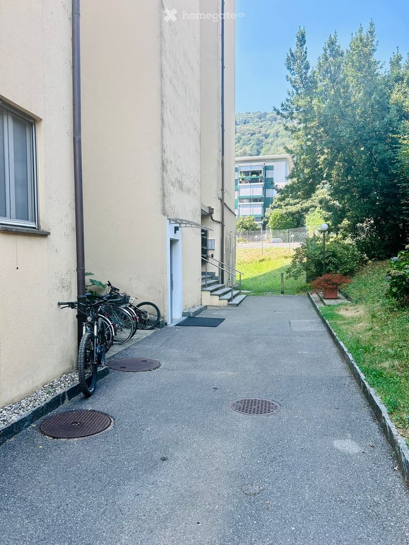 A narrow concrete pathway between two buildings, with bicycles parked on the left, a small staircase leading up to a door on the right, and a grassy area with trees and a potted plant on the right side.