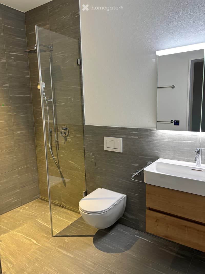 Modern bathroom with a glass-enclosed shower, toilet, sink, and mirror. Features wooden flooring and sleek, contemporary design.