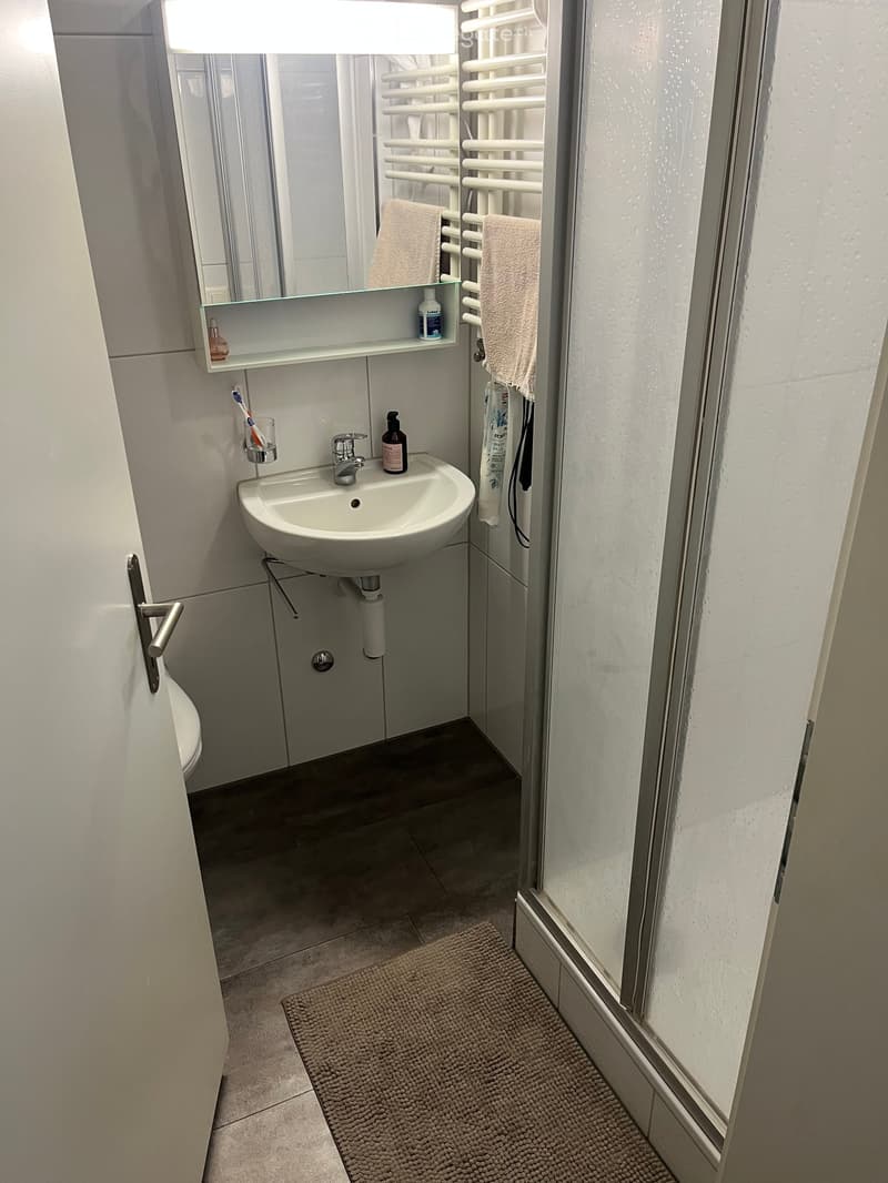 Modern bathroom with a white sink, mirror, towel rack, and a small shelf holding toiletries. The floor is tiled, and a textured rug is placed in front of the shower area.
