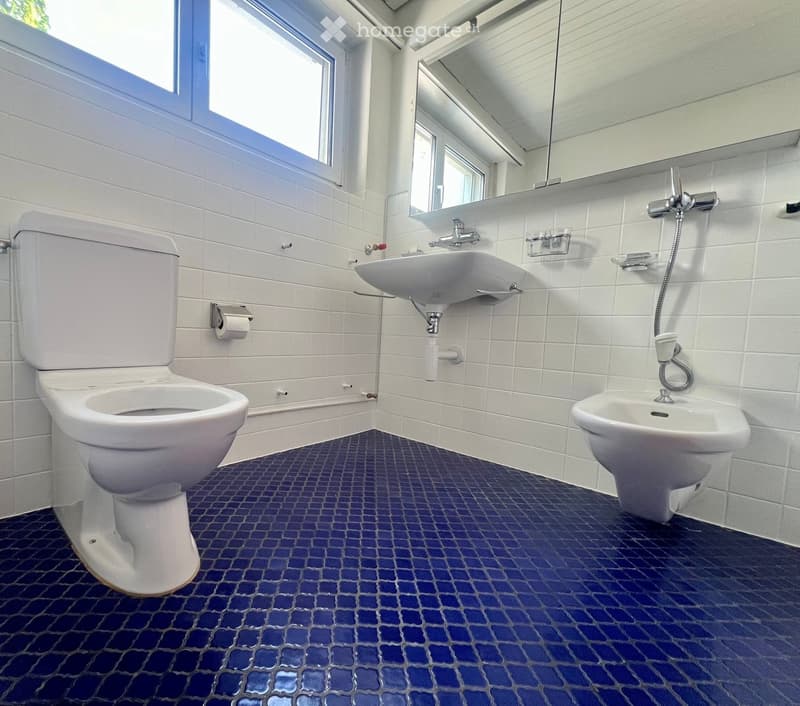 Modern bathroom with white tiles, a toilet, a sink, a mirror, and a bidet. The floor features a blue mosaic tile pattern.