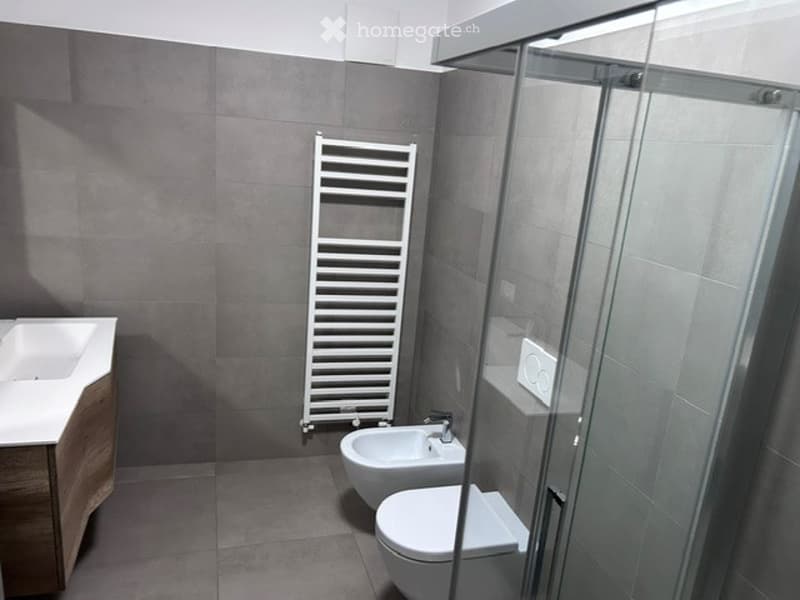 Modern bathroom with grey tiles, a white sink, toilet, bidet, radiator, and a glass shower enclosure.