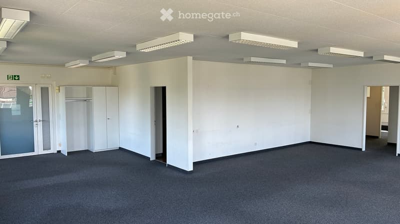 Empty room with white walls, carpeted floor, and a single built-in closet. No furniture or equipment present.
