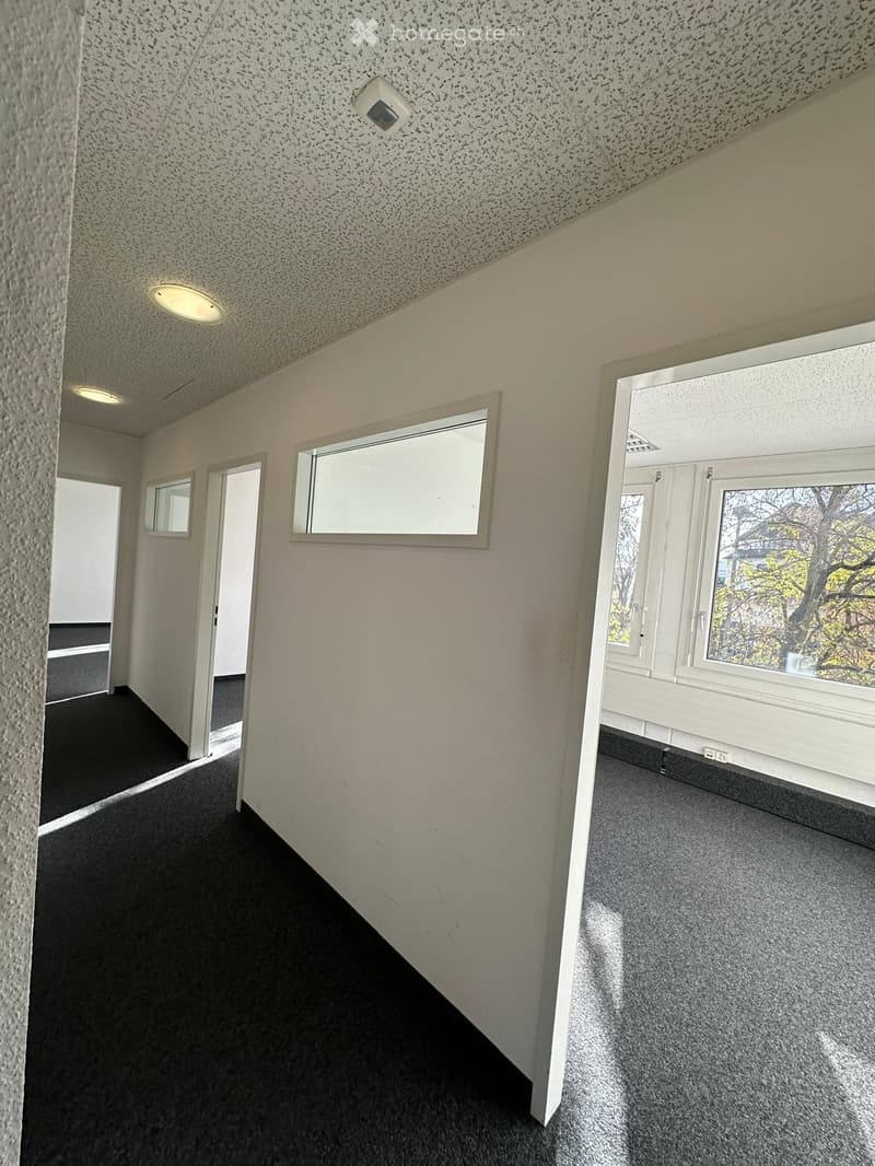 Empty hallway with carpeted floors, white walls, and recessed lighting. Features multiple doors and windows, one of which shows a view of trees outside.