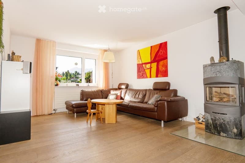 Wooden floors, modern style, large sofa, coffee table, fireplace, large windows with curtains