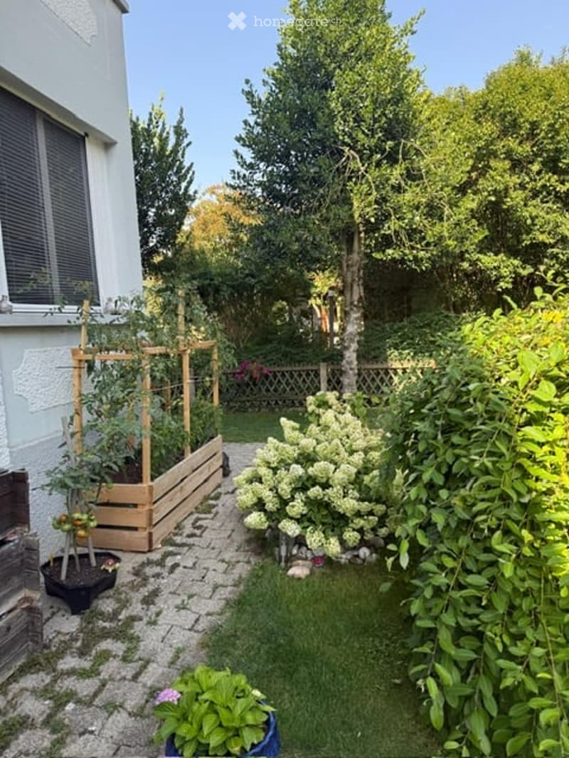 A small, well-maintained garden area with a wooden raised bed, potted plants, a flowering bush, and a paved pathway.