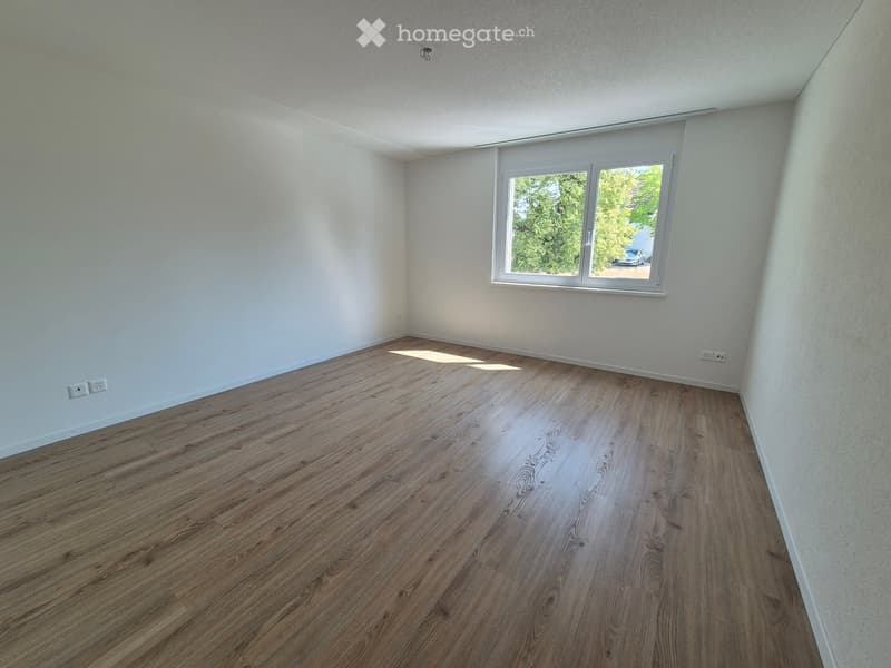 Empty room with light-colored walls and wooden flooring, featuring a large window with white frame and blinds.