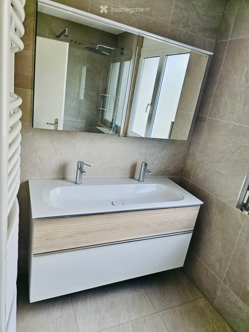 Modern bathroom with a white sink, dual faucets, a large mirror, and a wooden cabinet.