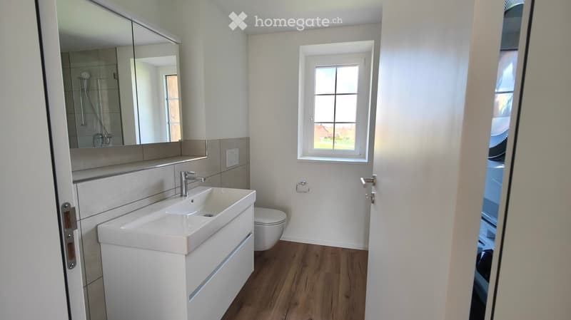 Modern bathroom with a white sink, chrome faucet, large mirror, toilet, and a shower area visible in the background. The room features light-colored tiles and wooden flooring.