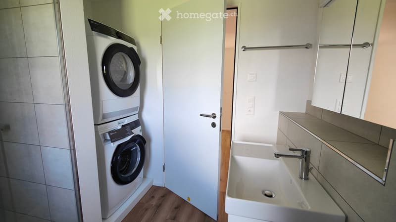 Modern bathroom with a white sink, chrome faucet, mirror, and a private washing machine unit in the adjacent space.
