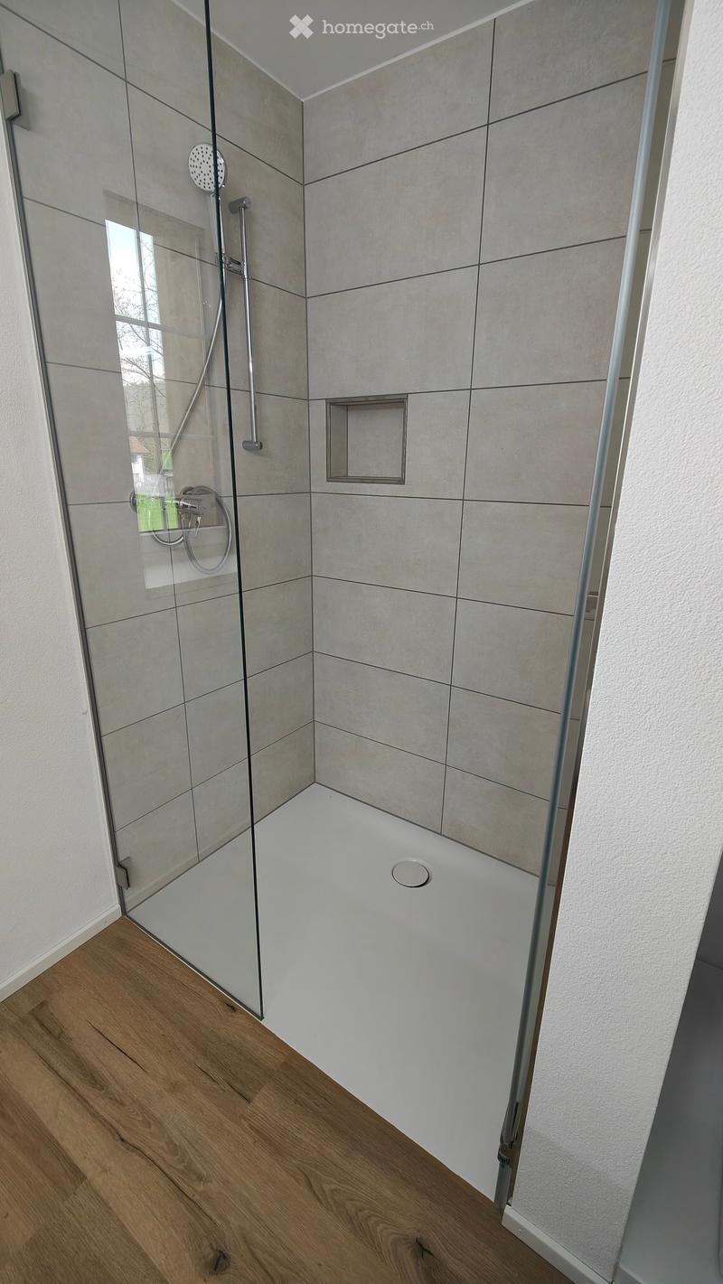 Modern bathroom with a glass-enclosed shower area, tiled walls, and a wooden floor.
