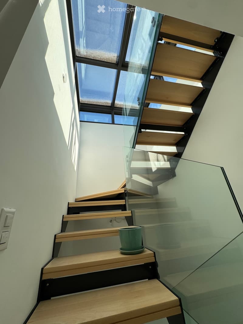 Modern staircase with wooden steps and glass railing, featuring a small green plant on one of the steps.