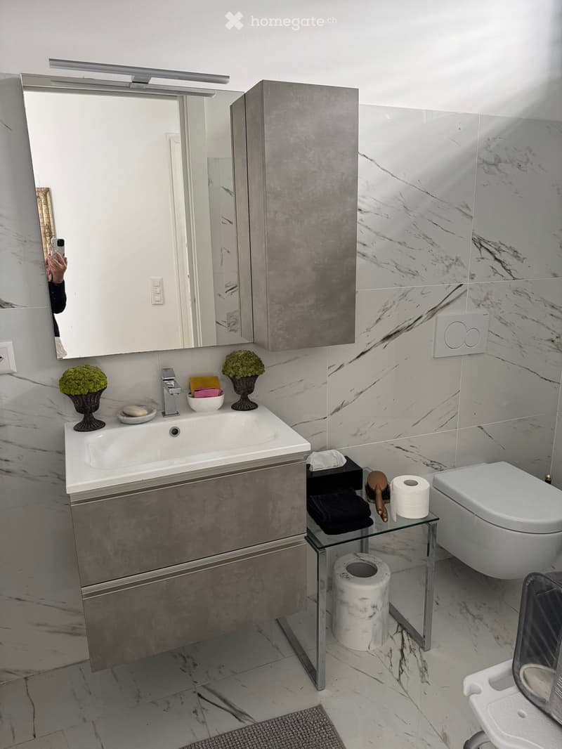 Modern bathroom with marble tiles, a large sink with a modern faucet, a mirrored cabinet, a toilet, and decorative vases on the sink counter.