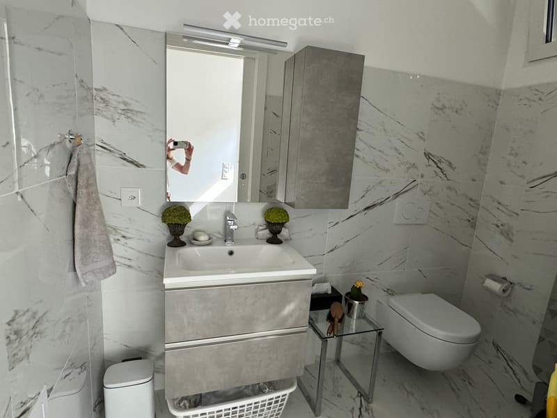 Modern bathroom with marble tiles, a white sink, a large mirror, a toilet, and decorative flower pots on a glass shelf.