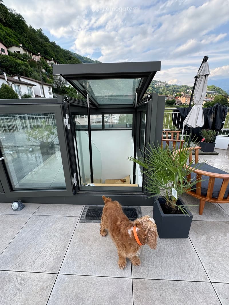 A modern rooftop terrace with a dog, potted plants, a wooden chair, and an umbrella. The terrace features a retractable glass roof and a scenic view of the surrounding hills.