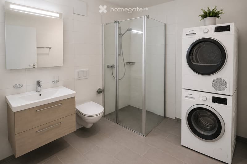 Modern bathroom with a sink, mirror, toilet, glass-enclosed shower, and stacked Siemens washing machine and dryer. Wooden cabinetry and a small potted plant are also visible.