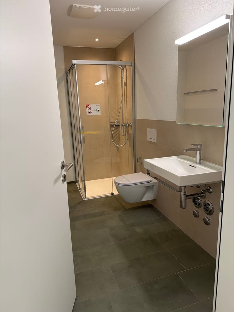 Modern bathroom with a glass-enclosed shower, toilet, sink, and a built-in mirror cabinet.