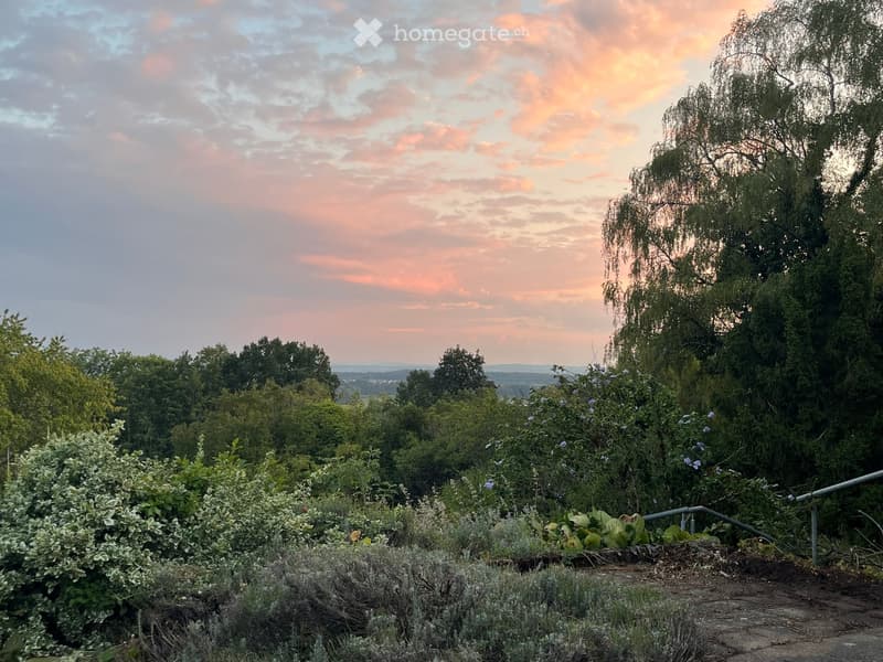 A garden area with various plants and shrubs, overlooking a scenic landscape with trees and a sunset sky.