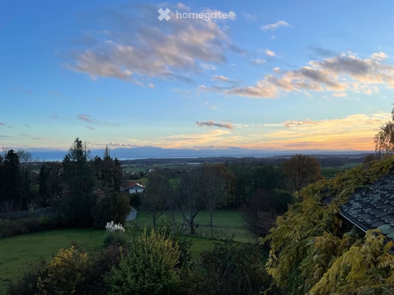 Green grass field, trees, hills, mountains on the horizon, house in distance