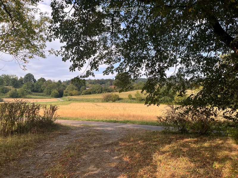 Rural landscape with a gravel road, fields, and trees under a partly cloudy sky.