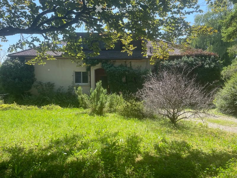 detached house, grey roof, single story, green vines, green garden, driveway, large windows, raised ground floor