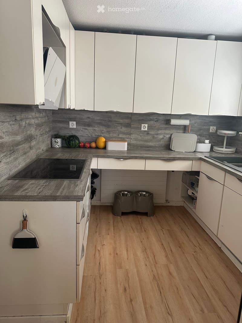 Modern kitchen with white cabinets, wooden flooring, and a grey countertop. Includes a sink, fridge, oven, dog bowls, fruits, plates, and a bowl on the counter.