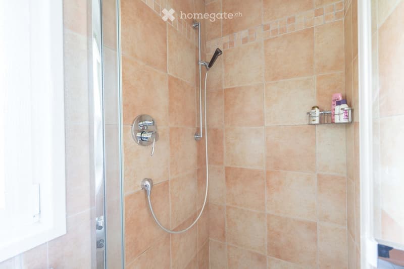Shower area with beige tiles, modern chrome fixtures, handheld showerhead, and a small shower rack holding toiletries.