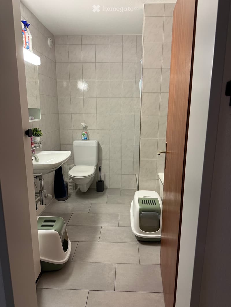 Modern bathroom with a toilet, sink, two cat litter boxes, and cleaning supplies on a shelf. The walls are tiled in a light beige color, and the floor is tiled in a neutral tone.