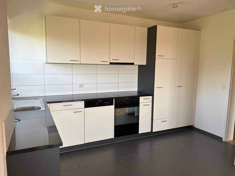 modern white kitchen with black countertops, integrated dishwasher, built-in washing machine, white cabinets, black stove and oven, stainless steel sink