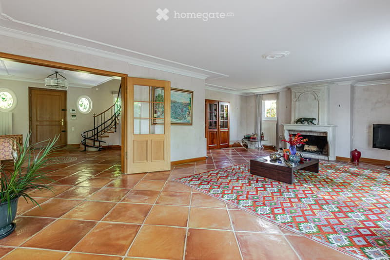 Spacious living room with terracotta tiles, fireplace, coffee table, television, and decorative items.