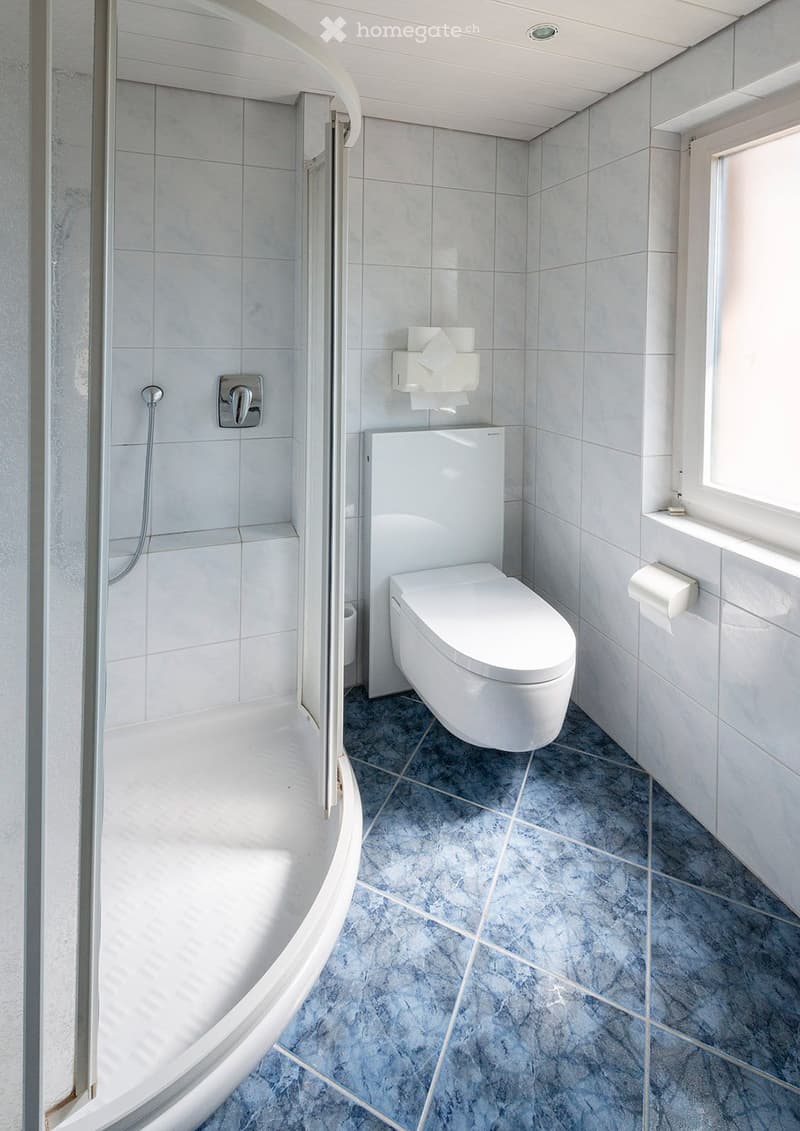 Modern bathroom with a white toilet, a curved shower stall, and a toilet paper holder mounted on the wall. The floor is tiled in a blue marble pattern, and the walls are covered in light grey tiles.