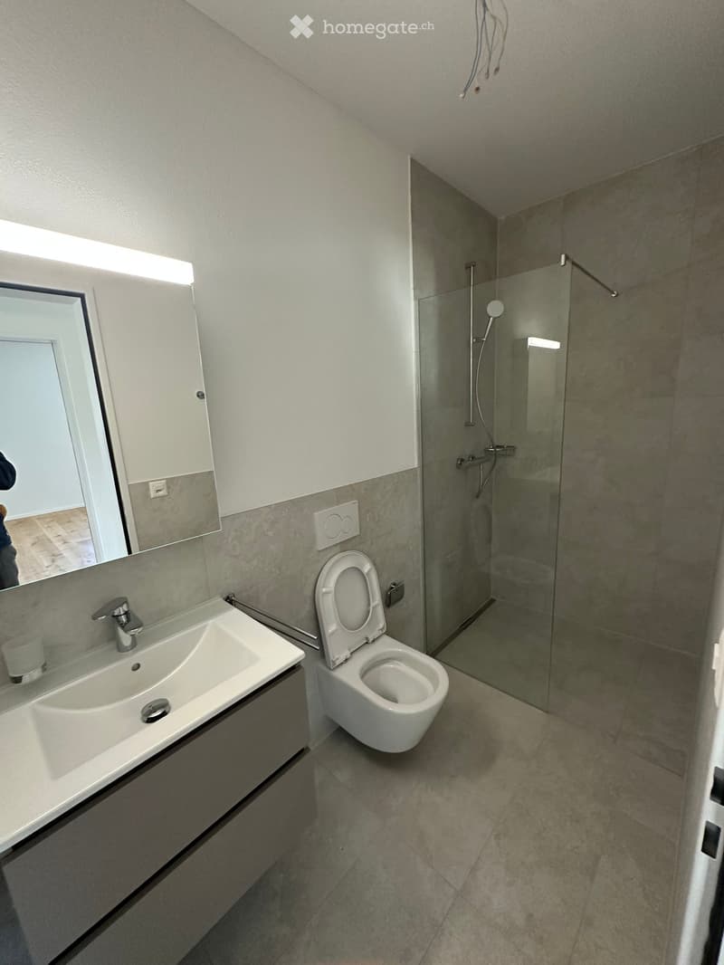 Modern bathroom with a white sink, mirror, toilet, and glass-enclosed shower area.