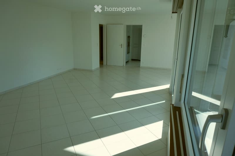Empty room with tiled floor and white walls, featuring several doors and a large window letting in natural light.