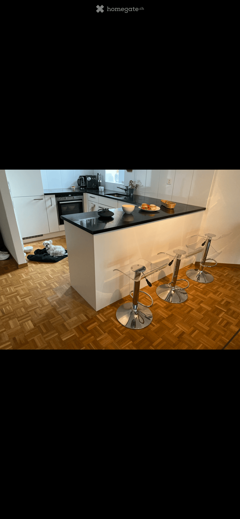Modern kitchen with white cabinets, black countertops, and wooden herringbone flooring. Features a central island with four stools, a small dog resting on a blanket, and various kitchen appliances and items on the counters.