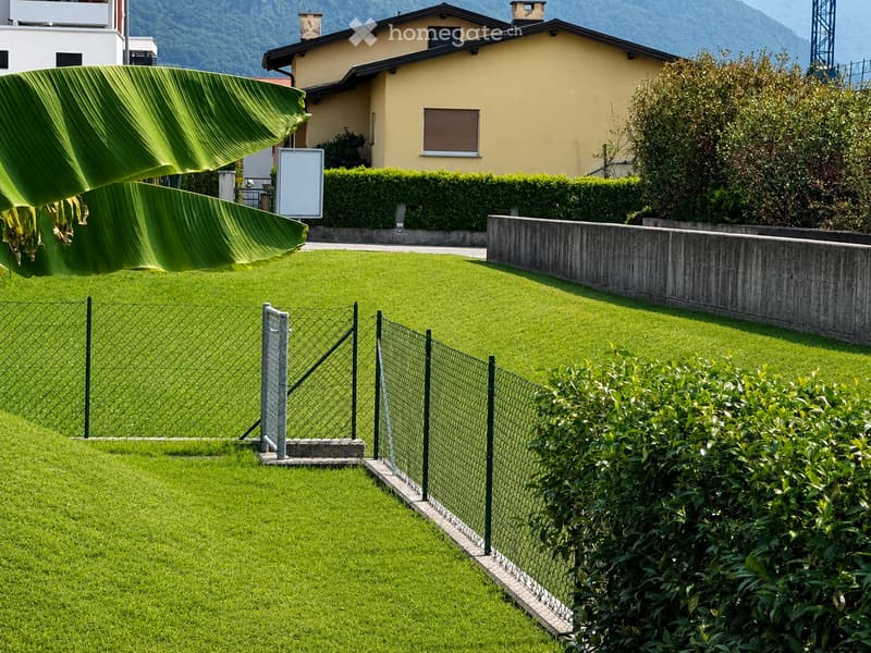 Well-maintained lawn with a metal fence, trimmed hedges, and a large banana leaf in the foreground. A modern house with yellow walls and a dark roof is visible in the background, along with a concrete retaining wall and a landscaped garden area.