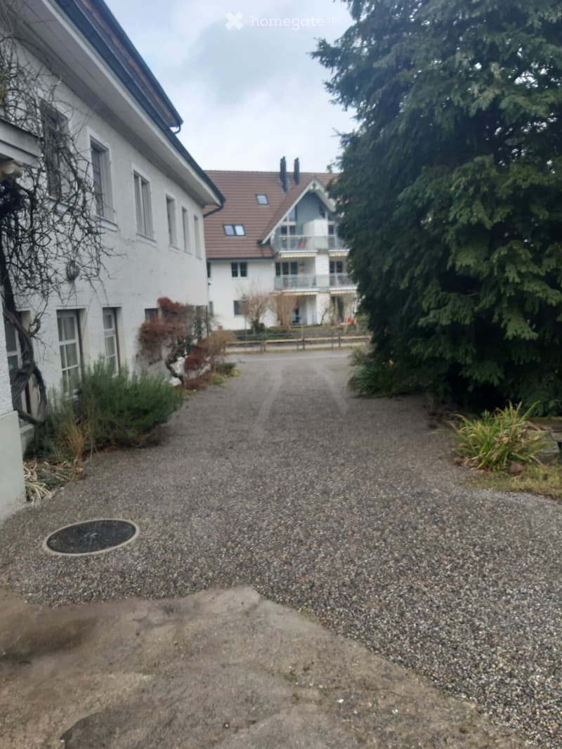 Gravel pathway leading to a residential area with houses, trees, and shrubs.