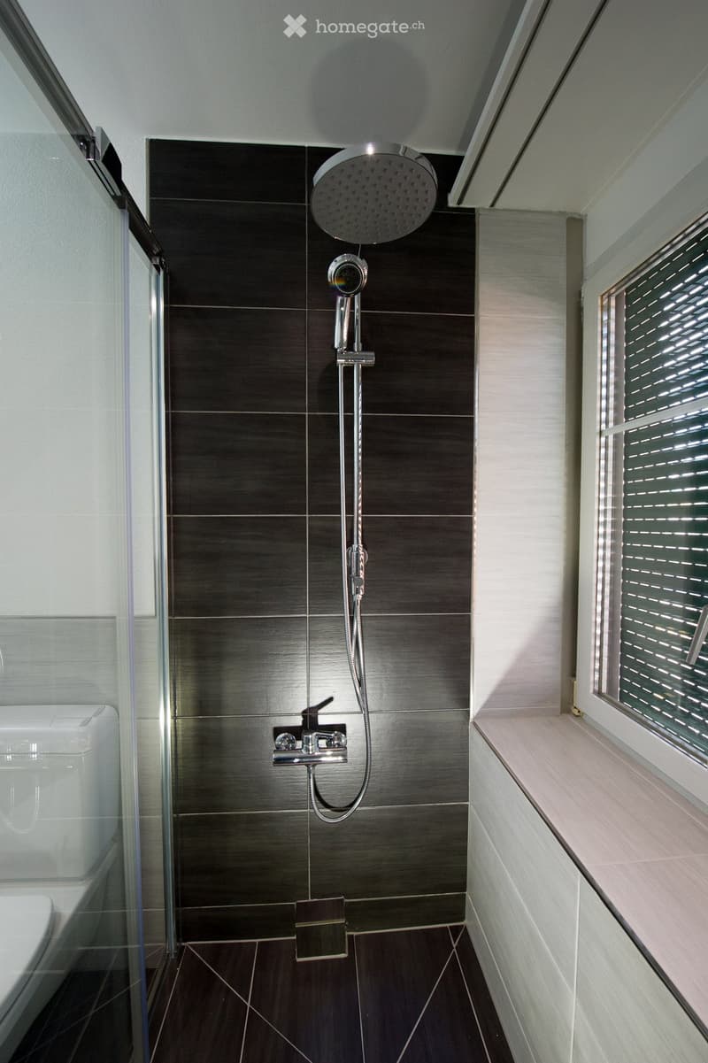 Modern bathroom with dark tiled walls and floor, glass-enclosed shower area, and a toilet visible on the left side.